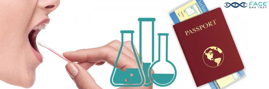 Immigration DNA testing process