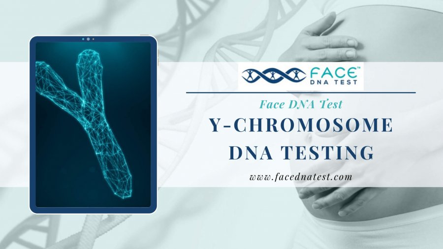 Y-Chromosome DNA testing