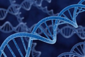 Why is DNA Replication Called Semiconservative?