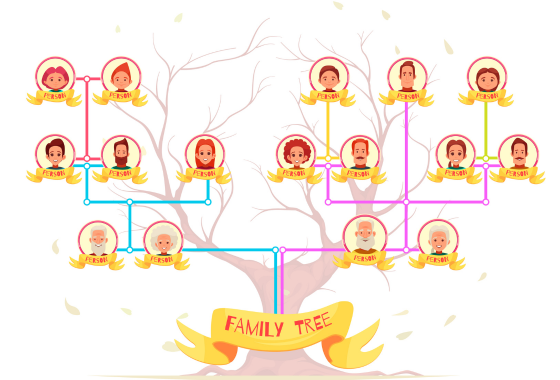 family tree